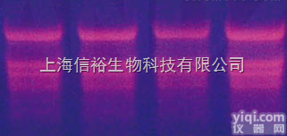 Bicarbonate Buffer（<em>碳酸氢盐</em><em>缓冲液</em>），1M,pH8.5