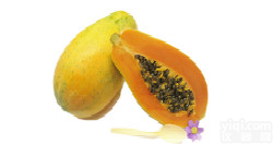 现货供应 <em>木瓜粉</em> 全国包邮 品质保证