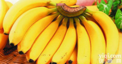 <em>现货供应</em> 香蕉粉 <em>溶解</em>效果好 厂家直销