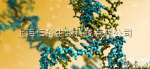 黄素腺嘌呤二核苷酸<em>二钠盐</em>，生物技术级，<em>90</em>%