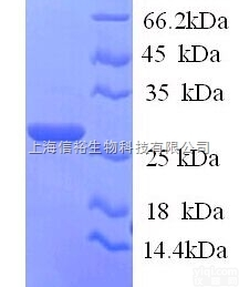 二苯基<em>甲醇</em>，特纯，<em>99</em>%