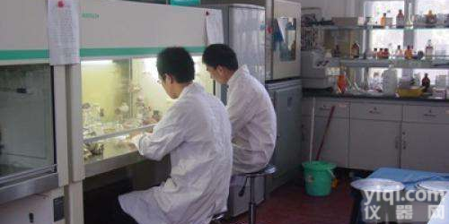 western blot<em>技术服务</em>，实验代测