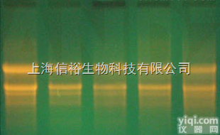 二<em>氧化</em><em>乙烯基</em>环<em>己烯</em>，96%,异构体混合物