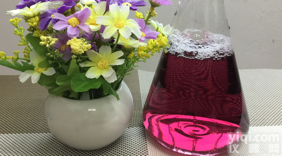 现货供应 品质保证 专业<em>天然色素</em> <em>栀子</em>红