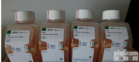 现货低价销售 澳洲胎牛<em>血清</em> gibco 10099-<em>141</em>