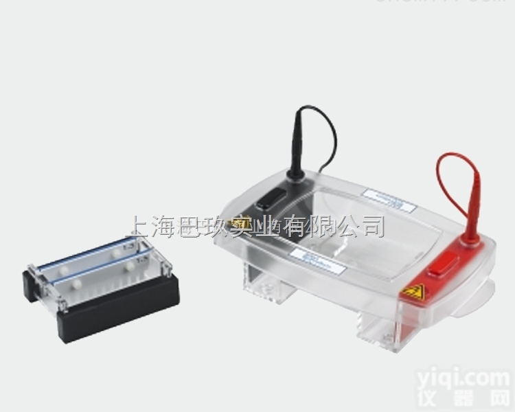 <em>美国</em>SBP水平电泳系统 Midi 10 Midi Plus 10 水平点用系统<em>用途</em>