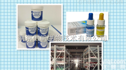 大鼠PRL elisa<em>试剂盒</em>，<em>催乳素</em>检测