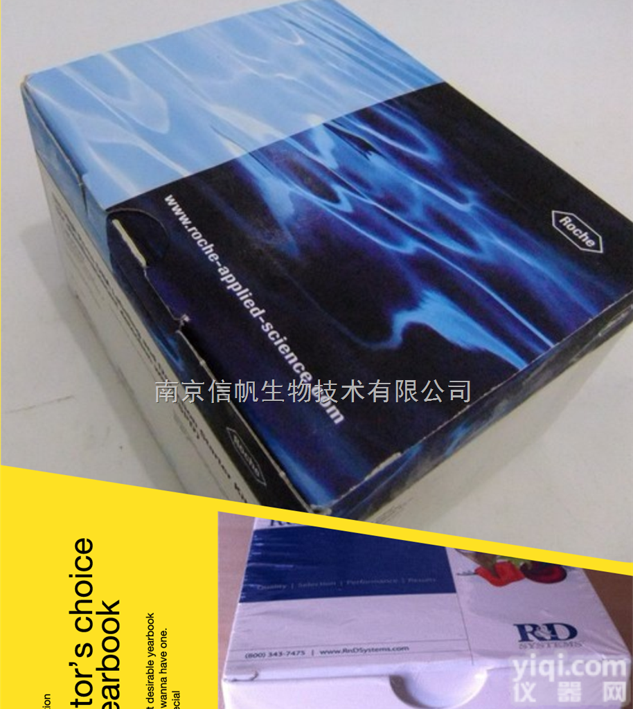 小鼠FSH elisa<em>试剂盒</em>，卵泡<em>刺激素</em>检测