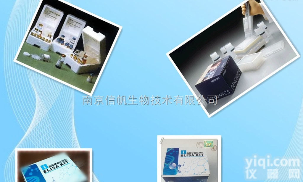 小鼠过氧化物酶体增殖因子<em>活化</em>受体γ elisa试剂盒，过氧化物酶体增殖因子<em>活化</em>受体γ检测