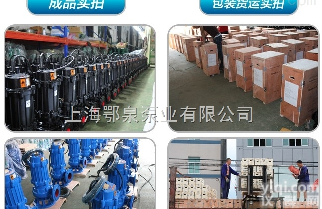 上海<em>自动搅匀排污泵</em>,青岛搅匀排污泵，西安潜水式搅匀排污泵