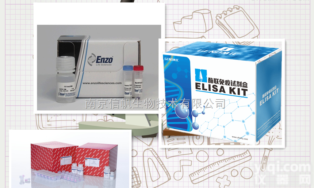 <em>小鼠</em>促红细胞<em>生成素</em> elisa<em>试剂盒</em>，促红细胞<em>生成素</em>检测