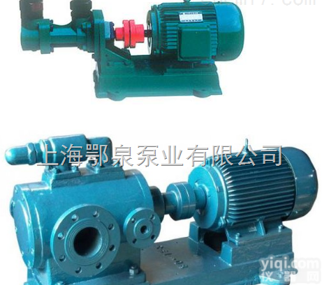整体<em>不锈钢</em>单<em>螺杆泵</em>,FG20-1小型<em>不锈钢</em><em>螺杆泵</em>