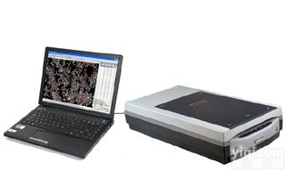 种子<em>大米</em>外观品质检测分析仪 <em>大米</em>外观品质<em>检测仪</em> 种子<em>大米</em>自动数粒分析仪