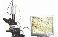 <em>植物病虫害检测设备</em> 病虫害检测仪 植物病虫害分析仪