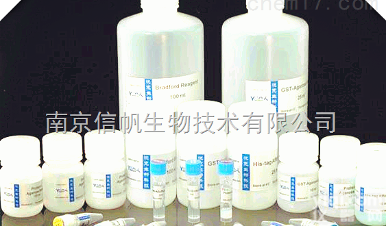 <em>Hoechst</em> <em>33342</em>-PI 双染<em>试剂盒</em>