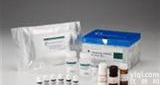 酮前列腺素F1a检测<em>试剂盒</em>,人(6-keto-PGF1a）ELISAKit进口6