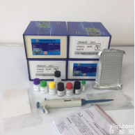 <em>豚鼠</em><em>抗原</em>提呈相关转运蛋白(TAP)ELISA试剂盒