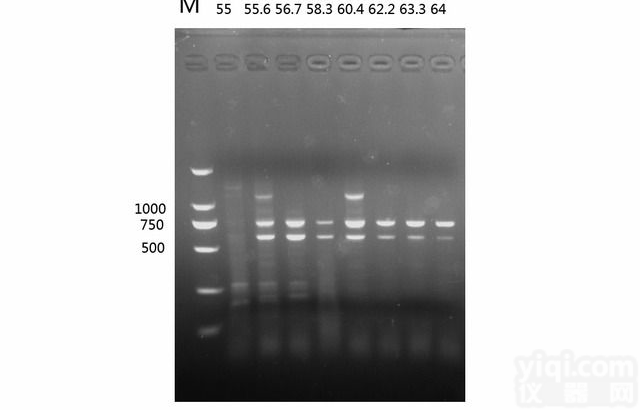 <em>普通</em>电泳<em>PCR</em>技术服务