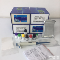大鼠脑钠肽前体N末端片段 NT-<em>proBNP</em> 酶联免疫<em>试剂盒</em>（Rat NT-<em>proBNP</em> ELISA Kit）