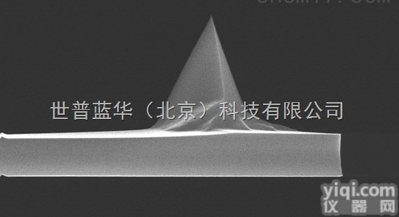 布鲁克轻敲模式<em>探针</em>tapping-Rtespa-300