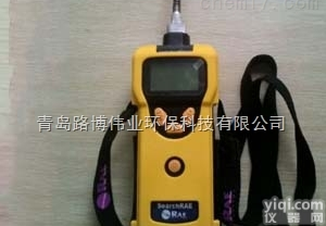 进口美国<em>华瑞</em><em>可燃气</em>有<em>毒气</em>体检测仪PGM-1600