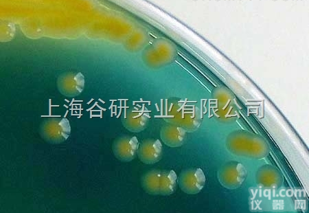 人肾透明细胞<em>癌细胞</em>；786-O [786-0]<em>操作</em><em>步骤</em>