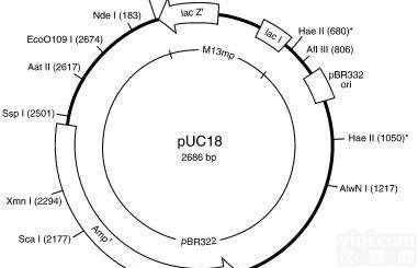 <em>细菌</em>冻存液价格，<em>细菌</em>冻存液<em>说明书</em>