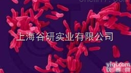 <em>超级</em><em>杂交</em>液 ( <em>芯片</em> )10mL价格