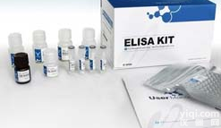 人凝血因子V(F5)酶联<em>免疫</em>吸附<em>测定</em>试剂盒人凝血因子XIII B多肽(F13B)酶联<em>免疫</em>吸附<em>测定</em>试剂盒