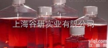 革<em>兰氏</em><em>染色</em>液<em>价格</em>