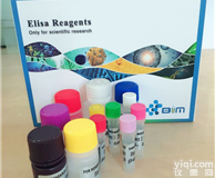 人<em>细胞</em>角<em>蛋白</em>19（CK19）ELISA<em>试剂盒</em>供应商