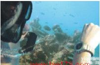 <em>腕式</em>个人剂量计 手<em>腕式</em>γ<em>辐射仪</em> 辐射检测仪