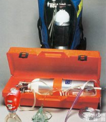 <em>美国</em>卓尔Eagle II<em>转运</em><em>呼吸机</em>