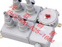 廉江系列防爆<em>检修</em><em>电源插座</em>箱 BCX系列防爆<em>检修</em><em>电源插座</em>箱特价批发