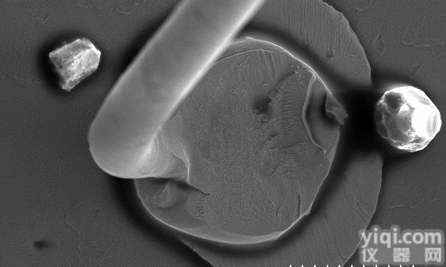 电子显微镜SEM扫描<em>电镜</em>选择<em>价格</em>