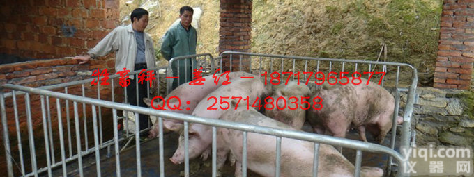 【<em>牲畜</em>秤】荆州1000<em>公斤</em>电子<em>牲畜</em>秤,牲口秤