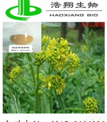 <em>板蓝根</em><em>提取物</em>(Radix isatidis P.E)