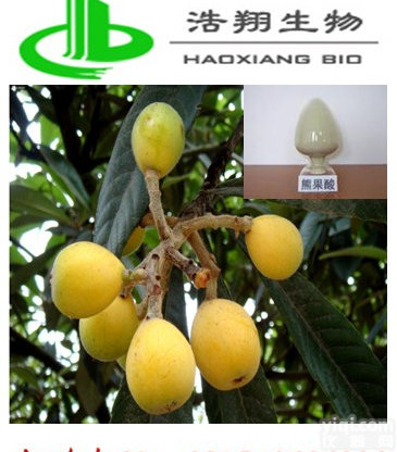 <em>枇杷</em>叶<em>提取物</em>Loquat Leaf P.E.