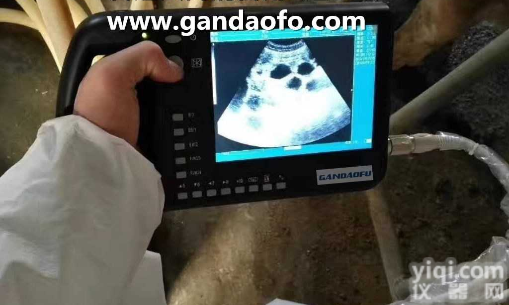 集团公司采购动物B超，兽用B超<em>彩超</em>品Pai厂家<em>直销</em>报价价格