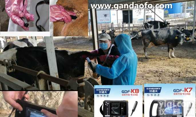 羊用B超今日报价是多少钱，<em>母羊</em>B超测孕仪厂家<em>价格报价</em>