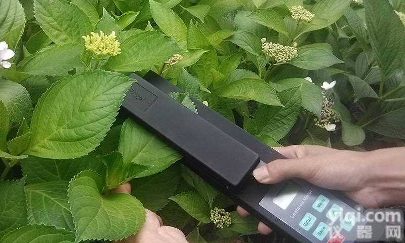 LAM-B活体叶面积<em>测定仪</em>  植物<em>叶片</em>面积<em>测定仪</em>