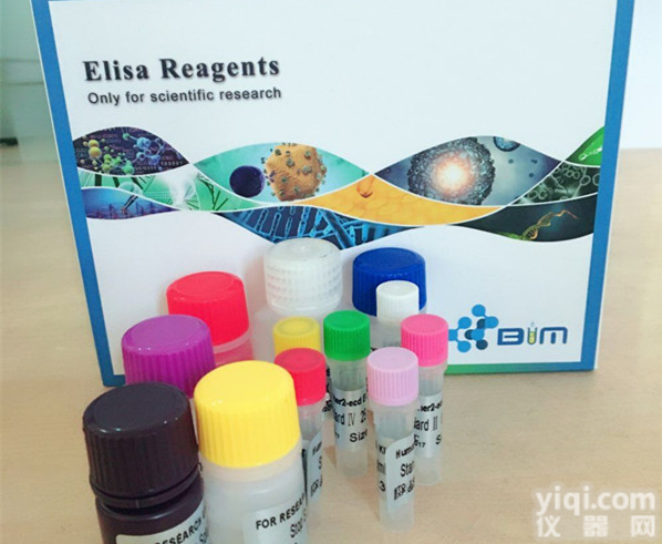 人<em>HIV</em>-1核心抗原p24（<em>HIV</em>-1 <em>P24</em>）ELISA试剂盒供应商