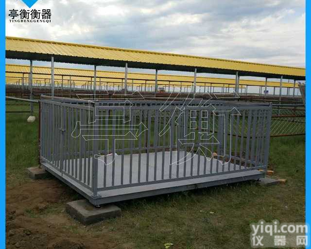 <em>屠宰</em>行业用的电子秤，2吨地磅带<em>围栏</em>价格