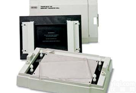 美<em>国伯</em>乐半干<em>转印</em>槽<em>1703940</em>