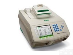 美国<em>伯乐</em>PCR <em>C1000</em>  货号1841100