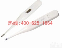 凤城电子<em>体温计</em> 电子<em>体温计</em>低价<em>促销</em>