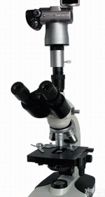 <em>承德</em>数码暗视野<em>显微镜</em> 数码暗视野<em>显微镜</em>厂家优惠促销