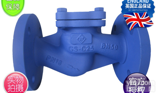 英国FST弗里斯通<em>升降式</em><em>止回阀</em>_FST<em>铸钢</em>法兰<em>止回阀</em>_弗里斯通<em>升降式</em><em>止回阀</em>