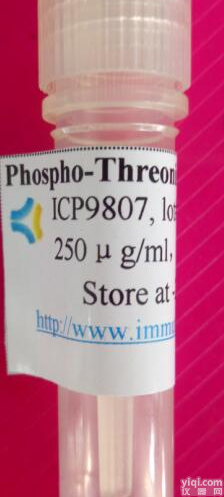 <em>磷酸化</em><em>苏氨酸</em>抗体