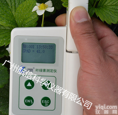 YLS-A<em>叶绿素</em>含量<em>测定仪</em>、泛胜YLS-A便携式<em>叶绿素</em>仪 <em>植物</em>叶片<em>叶绿素</em>含量检测仪